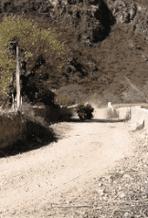 |搞笑动态图:该死,被他装到了!