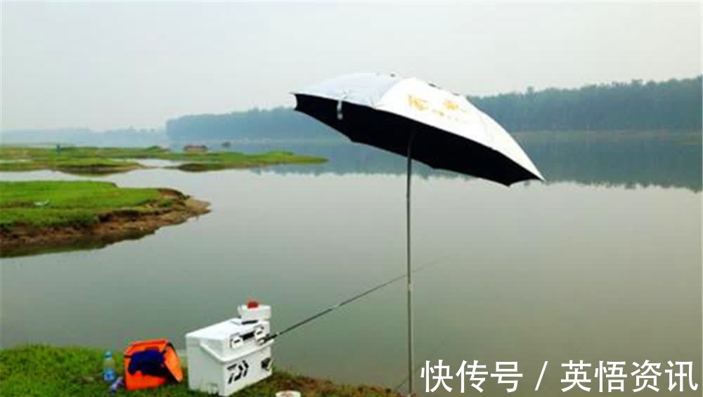 钓鱼技巧:钓位选择要分四步走,别说没鱼,鱼都在这里扎堆了!