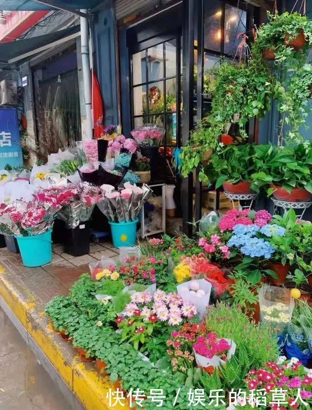 中年|撒糖!这些西安文旅CP你磕谁?