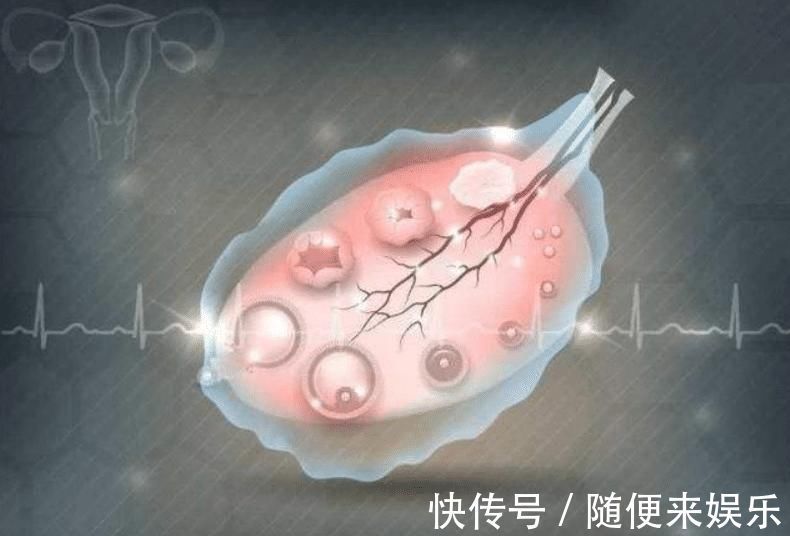 小宝宝|备孕妈妈的身体收到3个信号,说明身体正在排卵,可以迎接小宝宝