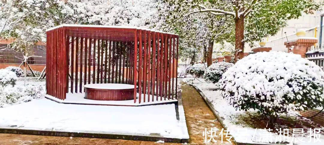 长沙|长沙初雪自带美颜滤镜，校园里“千树万树梨花开”