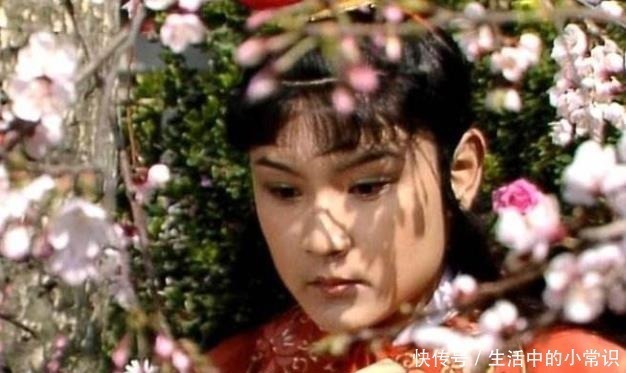 贤德妃|贾元春加封贤德妃后,薛宝钗恼羞成怒,一语双关嘲讽贾宝玉和贾府