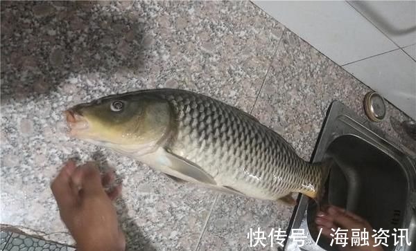 钓鱼|这东西1块钱1个,用来钓鱼很不错,比某些商品饵料还给力,别错过