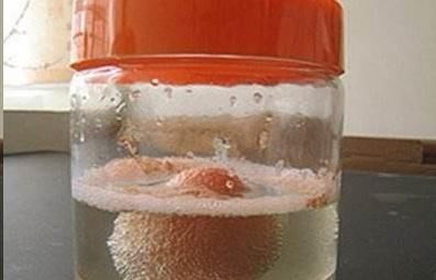 1块钱1瓶,比花肥还好用,浇水时加一片,疯狂长花不黄叶