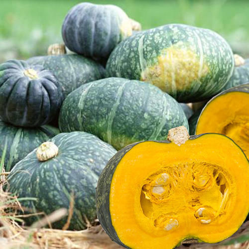 很有营养的3种食物，营养丰富，清热解毒，越吃越年轻！