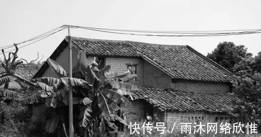 农村|致农村那些逝去的老房子……