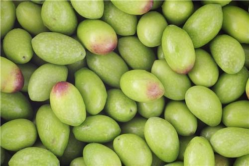 滋补|对身体最好的3种食物,营养丰富、滋补身体,好吃又健康!