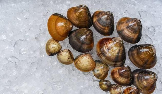 硬结|一味不被人熟知的良药,“除一身之湿消水肿,软内外硬结散瘿瘤”