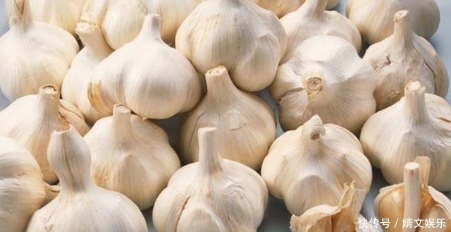 大蒜养花,防腐、防虫还能促发芽,好处多不胜举