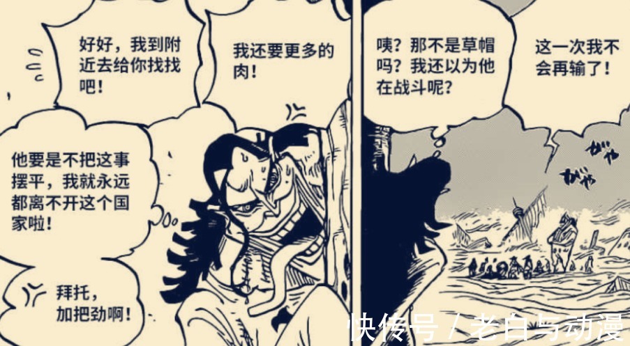 修炼|海贼王1021话情报：罗宾回忆修炼，桃之助让小忍把他变成大人