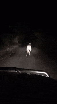 |搞笑GIF：你永远都猜不到 睡着后损友会对你做什么