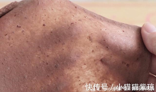干酵母|想吃面包不用买，黄金配比告诉你，省时省力，香甜松软，太好吃了