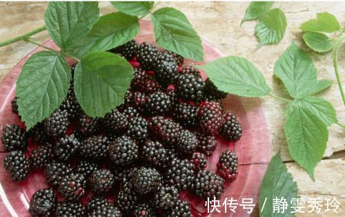 血糖生成指数|经常吃桑葚，到底是升血糖还是降血糖终于有营养师说正确吃法了