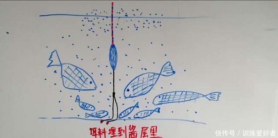 钓鱼|黑坑如何解决水底“酱层”问题的我提供3种方法