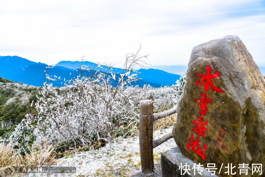 大明山|等你观赏！大明山景区12月26至28日将出现冰凌雾凇