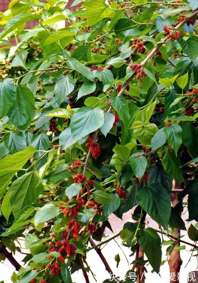 大部分|野钓都有哪些惊喜?大部分是送菜,还有捡首饰发家致富的