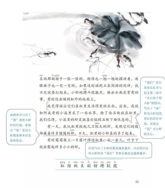 语文三年级（下册）课堂笔记