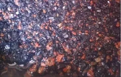 盆里扔2样东西，养花10年不烂根，叶子油光瓦亮，花苞挂满枝头