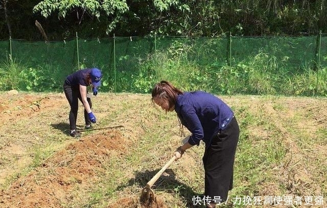  艘小船|17岁少女捡到“小船”，上交后获68元奖励，现在价值上千万