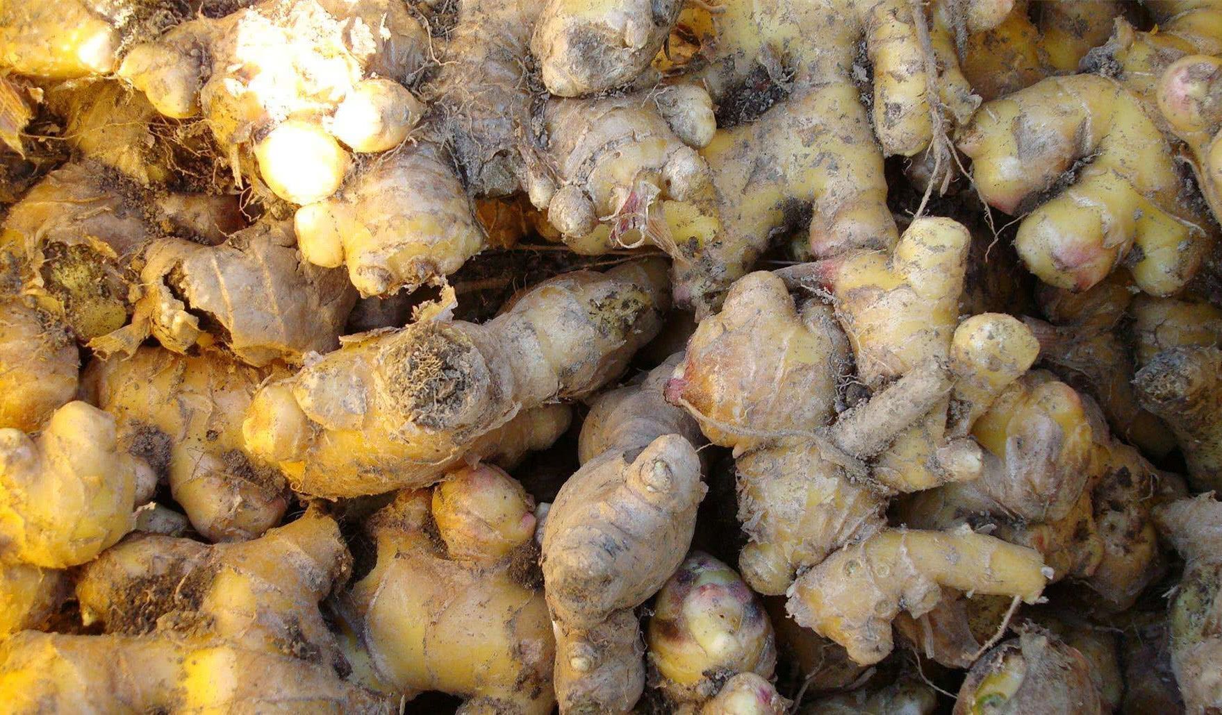 好吃|几种蔬菜可能好吃,但一个比一个伤肝,你却还在往桌上端