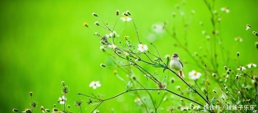春季,更加要注重皮肤护理