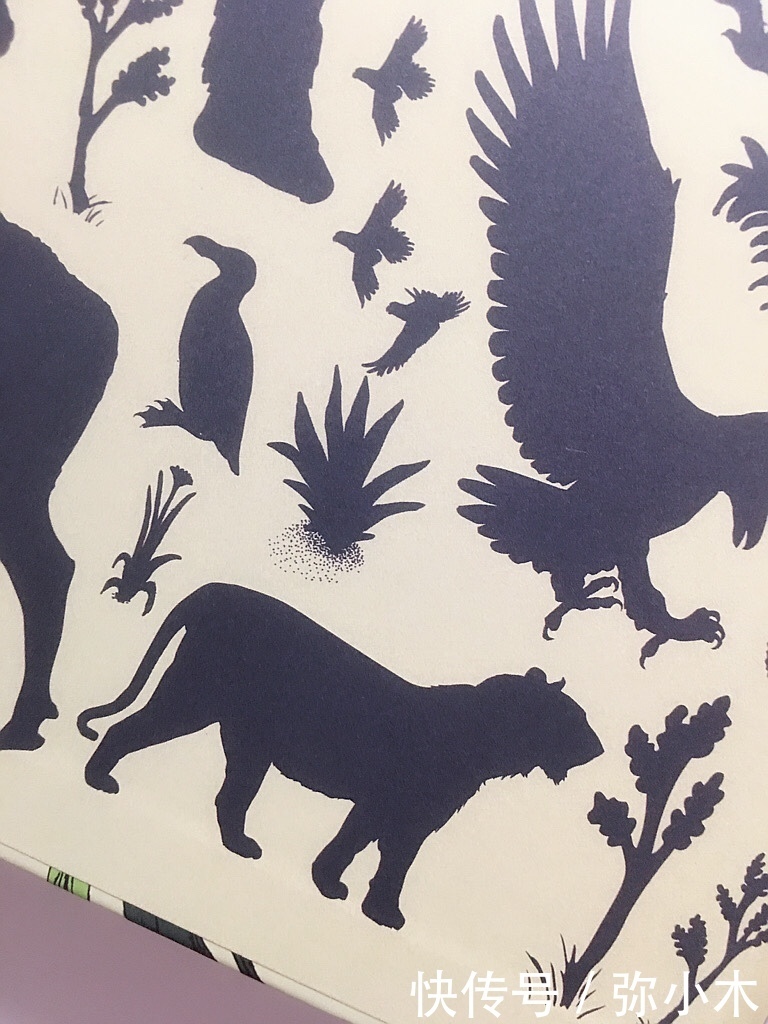 地球奖|阅读“地球奖”儿童科普读物,探寻少年的力量