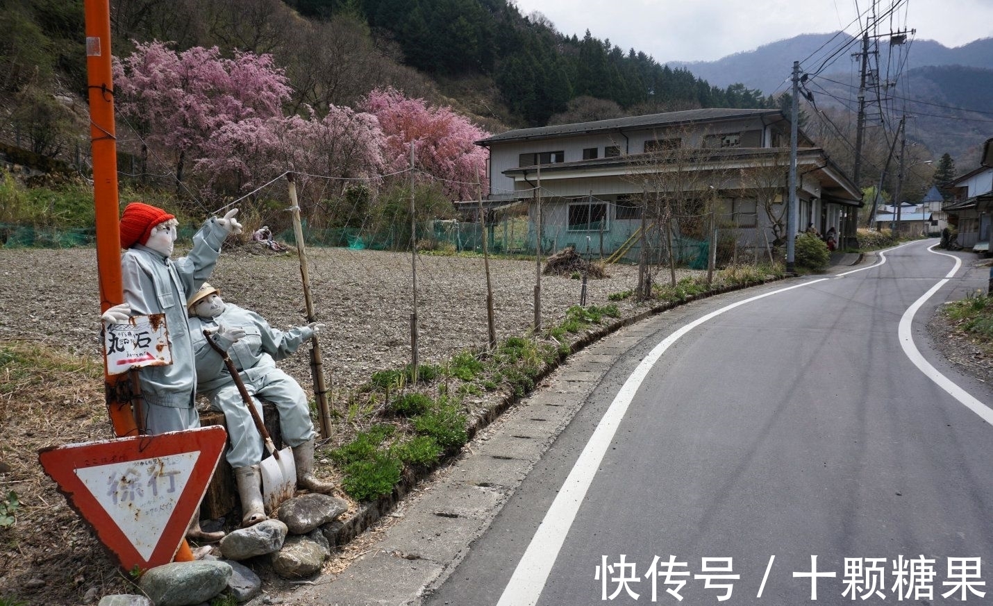 旅游胜地|用娃娃代替死者的村子：娃娃是村民的10倍，相当惊悚却成旅游胜地