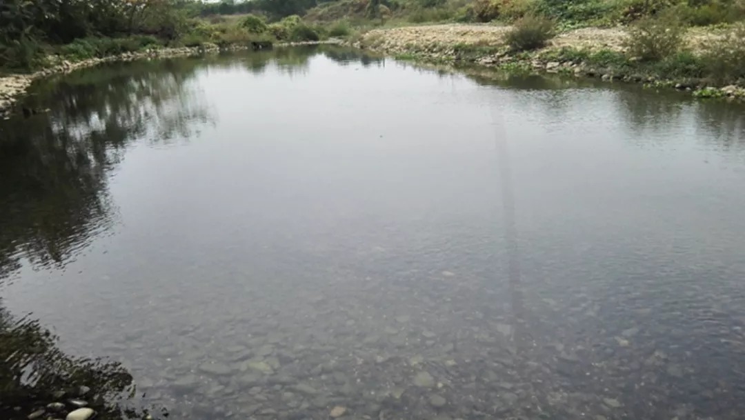 深水|冬天钓鱼五要诀,专攻大板鲫,别错过爆护机会