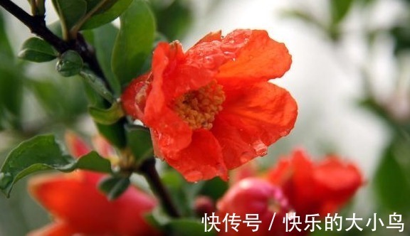 |开心笑话:我的意思是,你直接给我滚蛋啊