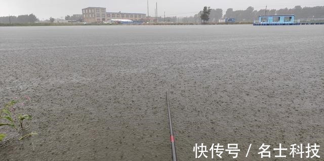 深水|晚秋钓鱼,三种钓位不下竿,三种天气不钓鱼,这种天气能爆护。