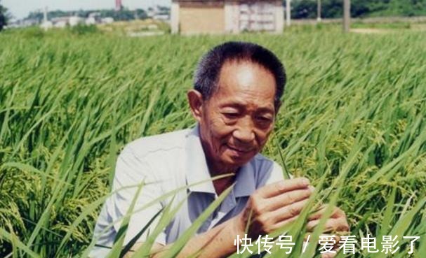 士兵突击&袁隆平书法他的书法质朴厚道,风骨遒劲透露书卷气!