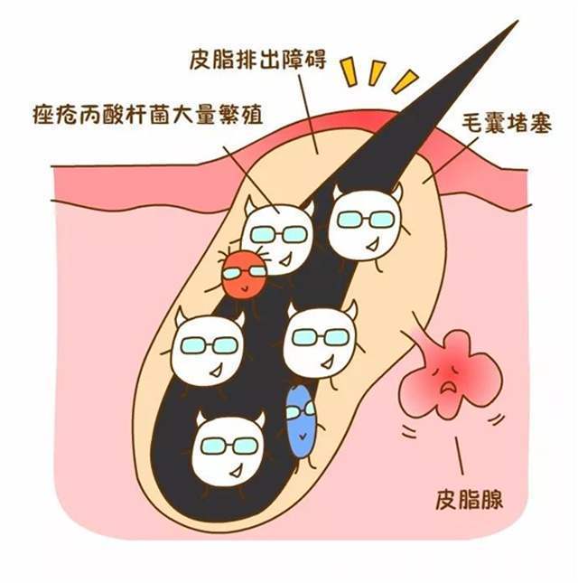 山茶花|洗面奶挑不好?那是你还没遇到“它”,公认好用的洗面奶之一