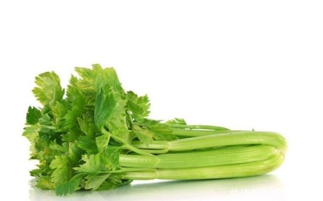 为什么说芹菜只吃茎不吃叶对比一下营养就知道了!