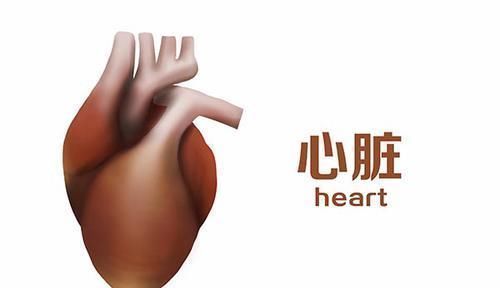 丑态|男人身体走下坡路时,身上会出现丑态,没到50岁就有,暗示早衰了