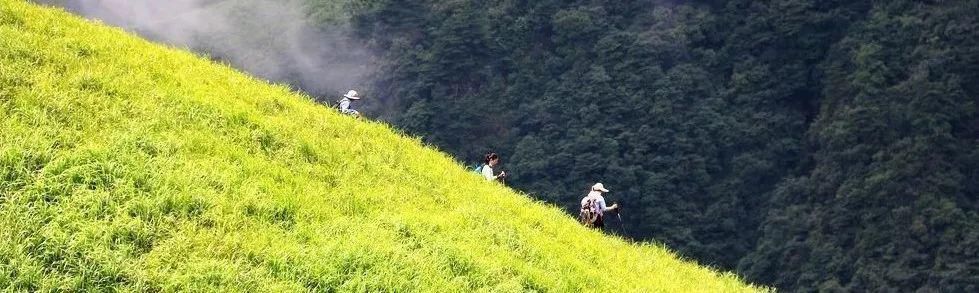 11月错过了亚洲最大红叶区，就相当于错过了整个秋天