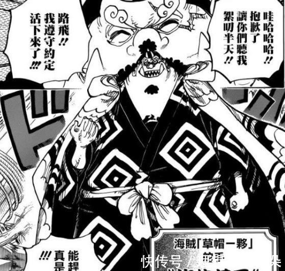 娜美|海贼王草帽团赏金进化史,路飞涨了6次,乔巴的变化没有意义