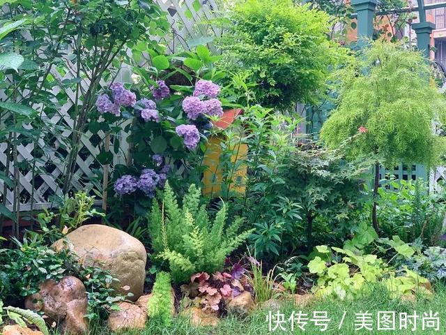 黄先森|3年前,他买了一栋带花园的小洋房,为她打造了一个童话般的花园