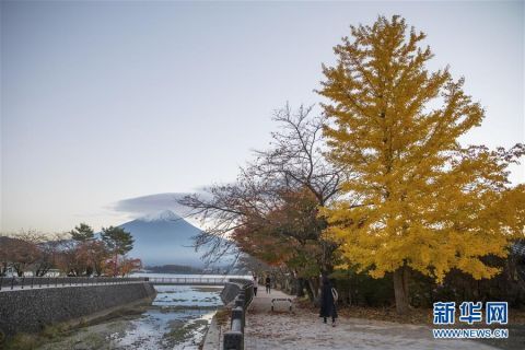 本山梨县拍|富士山秋景