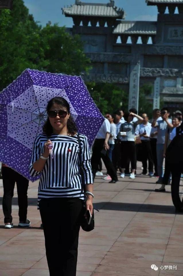  飘香|绿雨如丝｜飘香的野玫瑰