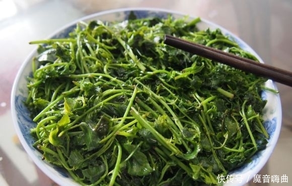  饭桌上不常见的野菜，吃过的人是少数，农村人才认识！