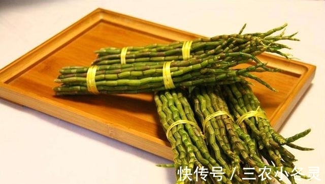 铁皮石斛|农村被称''价值千金''的草,曾经被用来喂猪,如今靠他发家致富