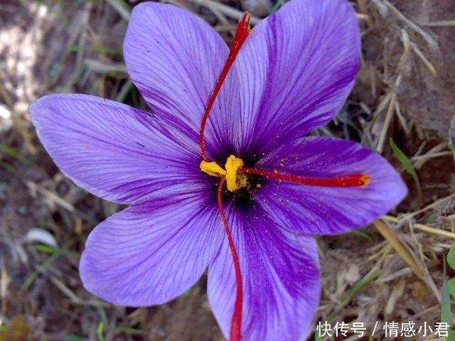 “家勤则兴,人勤则健”勤劳的人,往往有三种福报,需谨记