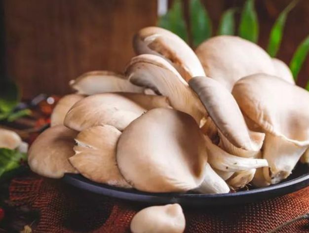 买平菇，挑大的还是小的？菇农教你4个妙招，新鲜品质好，更好吃