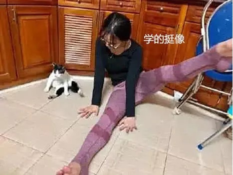 女主子|女主子在家练瑜伽，猫咪跟她一起练，网友私人教练是哪请的