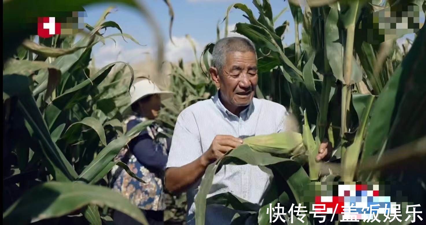 梦想改造家又惹争议！花农村老人132万血汗钱，不顾诉求造毛坯房