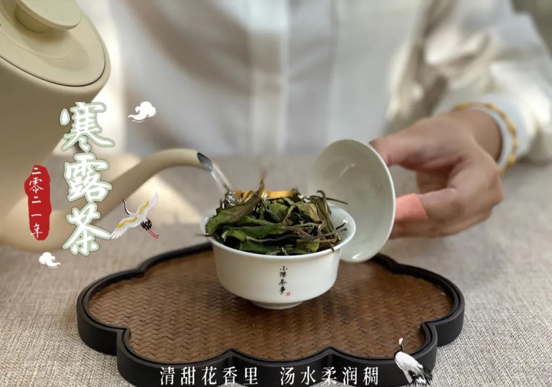 萎凋&刚刚入门白茶的人，为什么觉得好茶味道淡，低端茶反而更好喝？