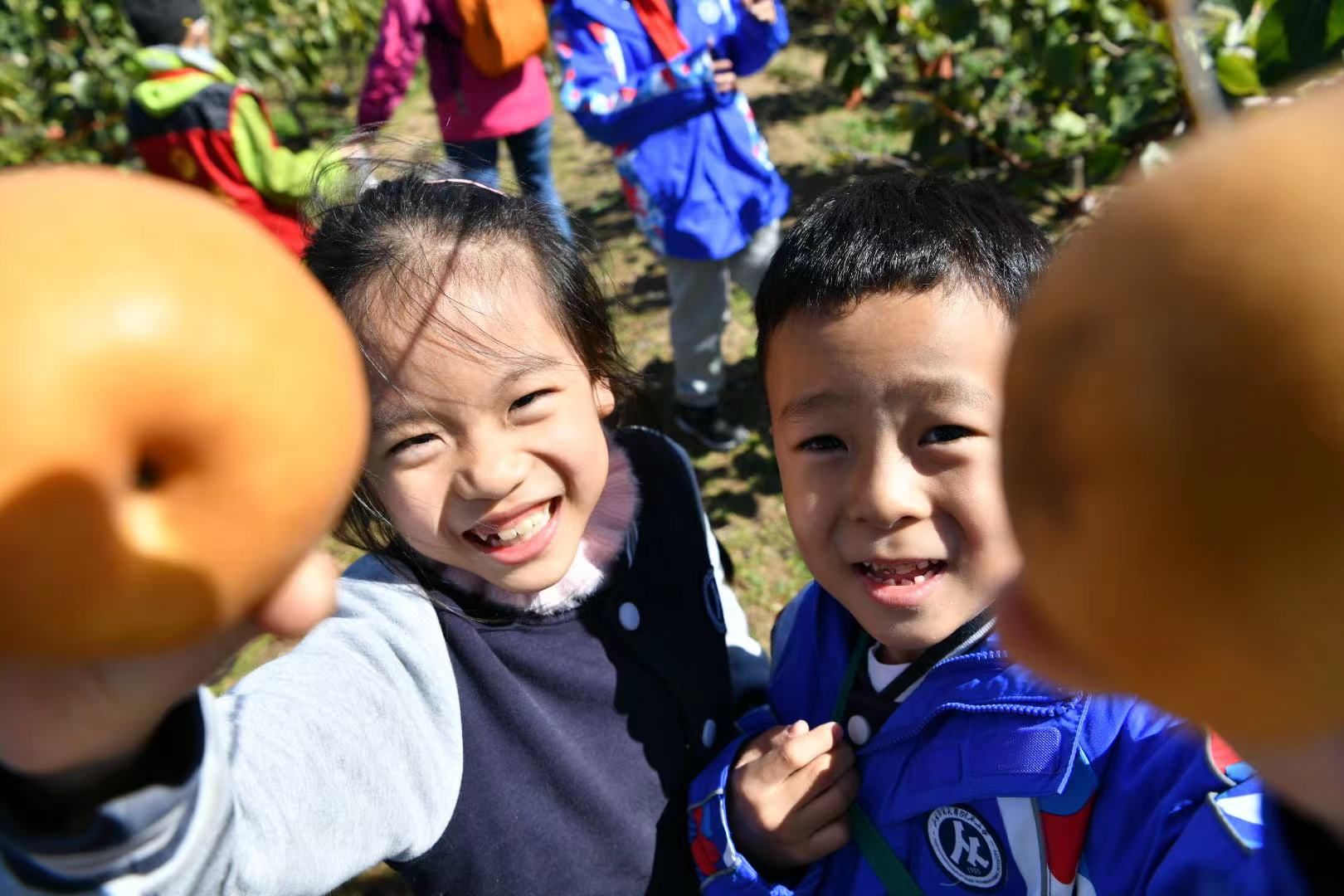 榨油|走进榨油生产线！山师附小学生开启“一滴油的奇妙旅程”