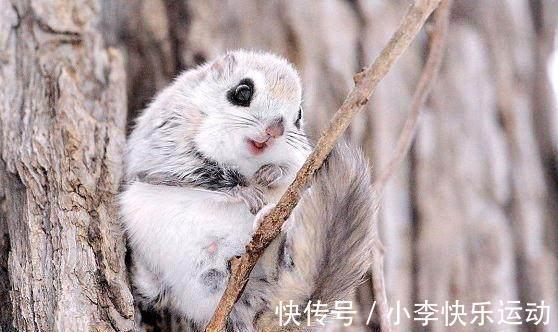 北山经@《山海经》记载内容,是异世界的秘密?专家称:极有可能真的存在