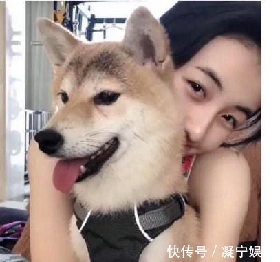 宋茜把《向往的生活》中小碗领走了，网友小碗变美丽了