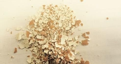 补充营养|花盆里撒上这两样东西,不生虫不黄叶不烂根,还能疯长爆盆